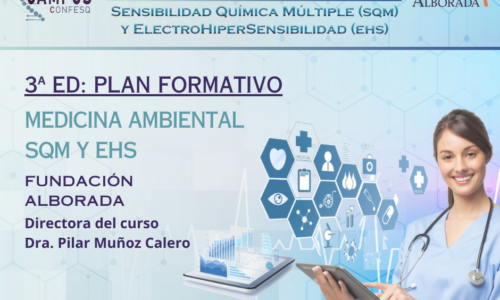 miniatura del curso